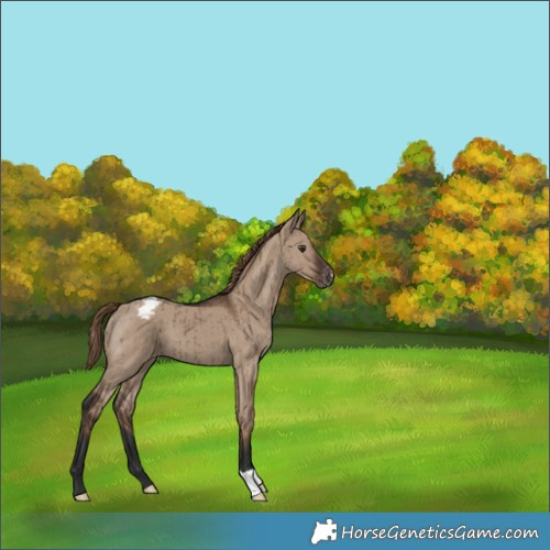 Horse Color:Liver Red Dun Varnish Brindle 