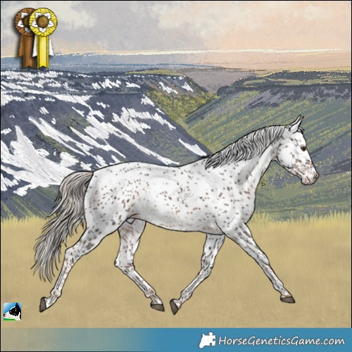 Horse Color:Liver Chestnut Sabino Rabicano 