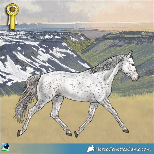 Horse Color:Liver Chestnut Sabino Rabicano 