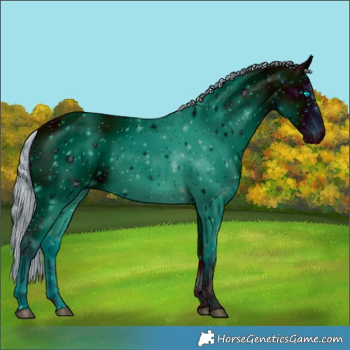 Horse Color:ERROR: UNKNOWN ANOMALY