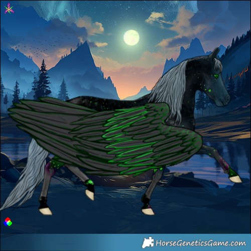 Horse Color:ERROR: UNKNOWN ANOMALY