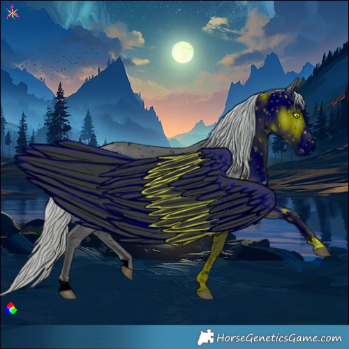 Horse Color:ERROR: UNKNOWN ANOMALY