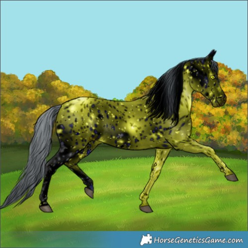 Horse Color:ERROR: UNKNOWN ANOMALY