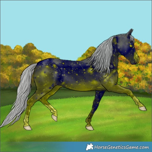 Horse Color:ERROR: UNKNOWN ANOMALY