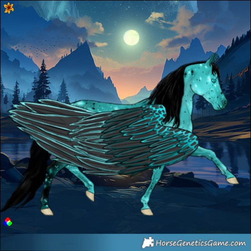 Horse Color:ERROR: UNKNOWN ANOMALY