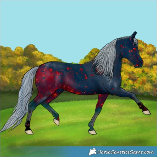 Horse Color:ERROR: UNKNOWN ANOMALY