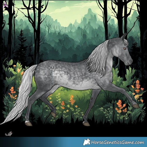 Horse Color:Silver Black Chinchilla 