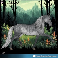 Horse Color:Silver Black Chinchilla 