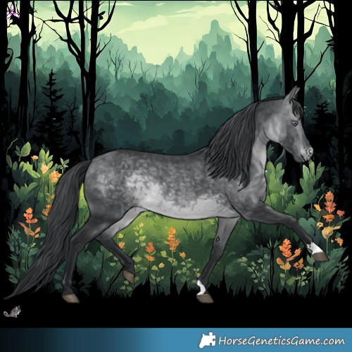 Horse Color:Brown Chinchilla 