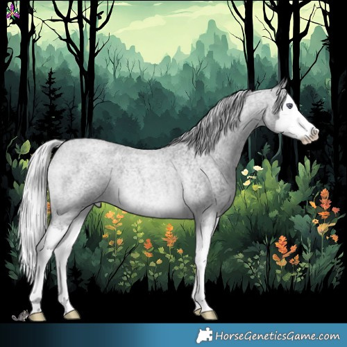 Horse Color:Silver Brown Chinchilla Roan Splash 