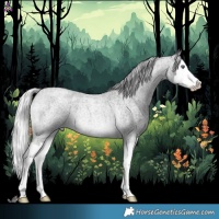Horse Color:Silver Brown Chinchilla Roan Splash 