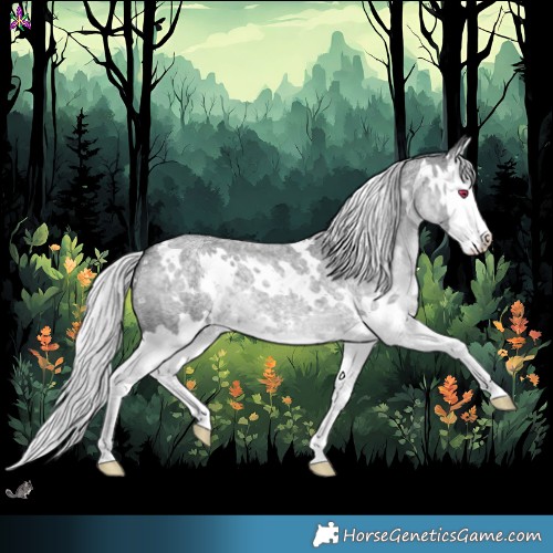 Horse Color:White Spotted Silver Blue Chinchilla Roan Splash 