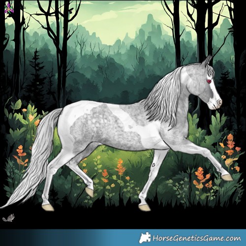 Horse Color:Silver Blue Chinchilla Roan Splash Tobiano 