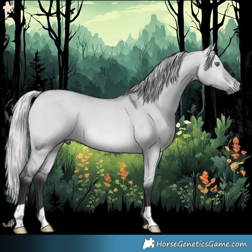 Horse Color:Silver Bay Chinchilla Dun 