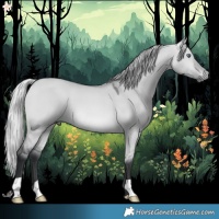 Horse Color:Silver Bay Chinchilla Dun