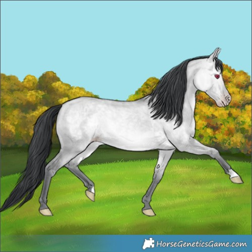 Horse Color:Amber Champagne Chinchilla Dun Brindle 