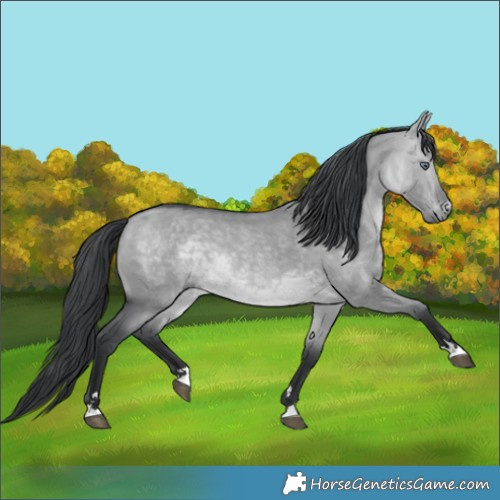 Horse Color:Brown Chinchilla Dun 