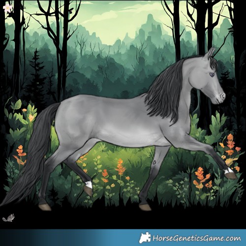 Horse Color:Bay Chinchilla 