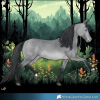 Horse Color:Bay Chinchilla