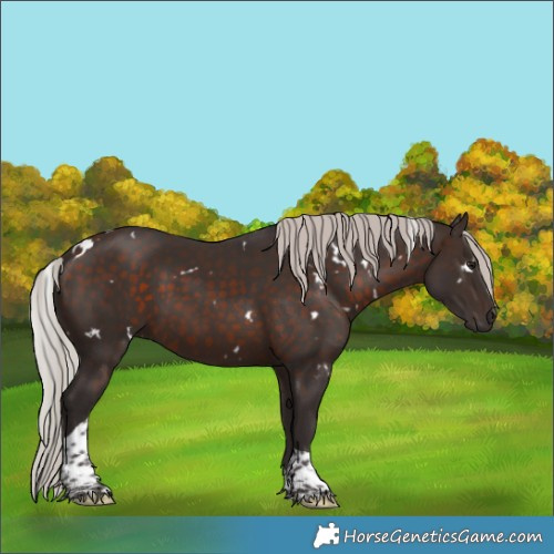 Horse Color:White Spotted Silver Brown Tobiano 