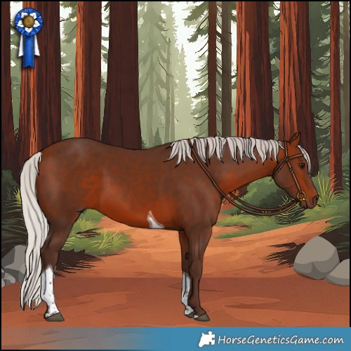 Horse Color:Silver Bay Tobiano 