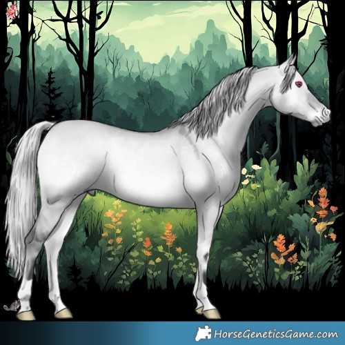 Horse Color:Silver Bay Chinchilla Onyx Rabicano 