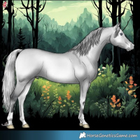 Horse Color:Silver Bay Chinchilla Onyx Rabicano