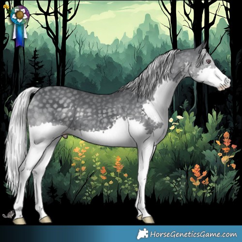 Horse Color:Silver Black Chinchilla Splash 