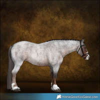 Horse Color:Liver Red Roan