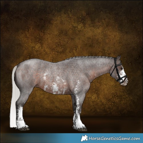 Horse Color:Silver Brown Roan Sabino 