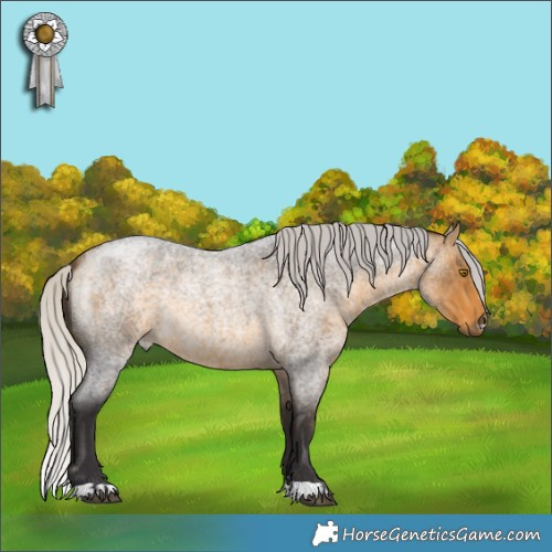 Horse Color:Silver Buckskin Roan 