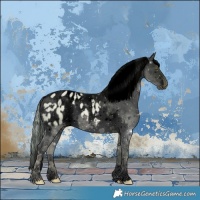 Horse Color:Void Watercolor White Spotted Silver Brown Pearl Dun Appaloosa 