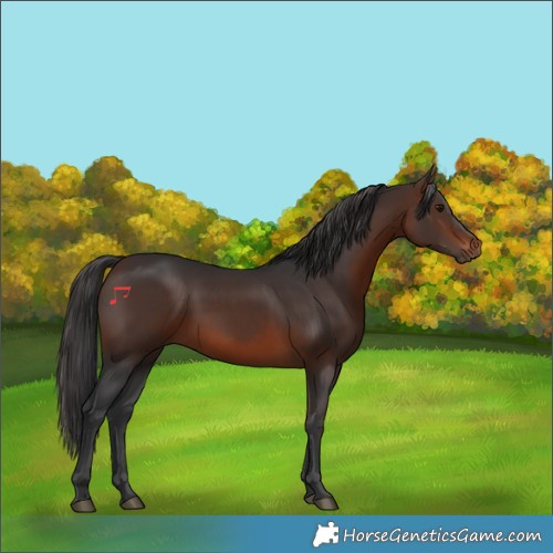 Horse Color:Brown 