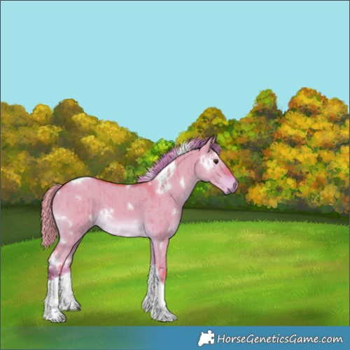 Horse Color:Watercolor White Spotted Liver Red Dun Tobiano Brindle 