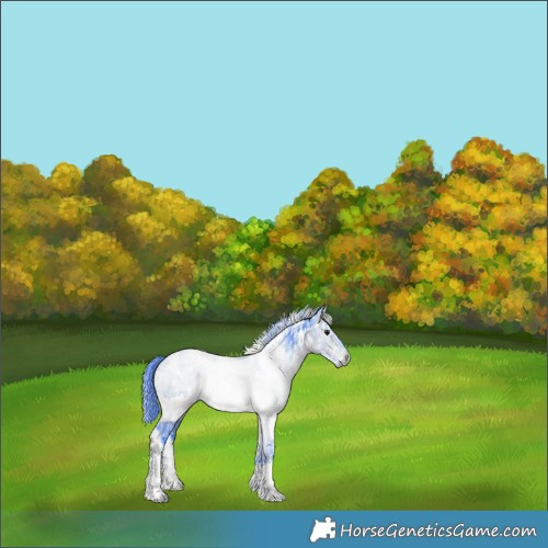 Horse Color:Watercolor White Spotted Brown Ice Dun Brindle 
