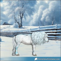 Horse Color:Watercolor White Spotted Silver Brown Chinchilla Ice Dun Brindle