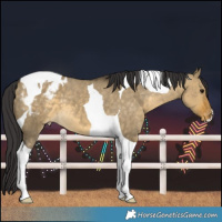 Horse Color:Buckskin Dun Tobiano Blanket 
