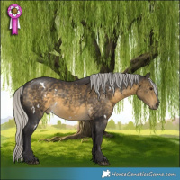 Horse Color:White Spotted Silver Buckskin 