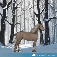 Horse Color:Silver Grullo Tobiano 