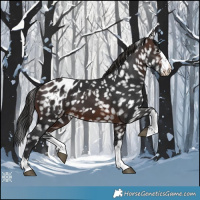 Horse Color:Brown Blanket 