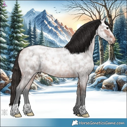 Horse Color:Bay Ice Roan Rabicano 