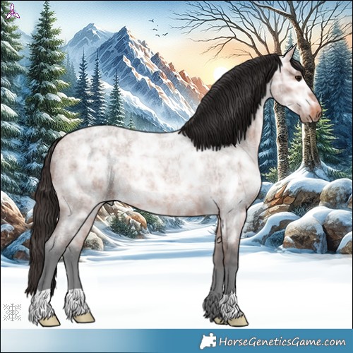 Horse Color:Bay Ice Roan Rabicano 