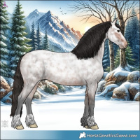 Horse Color:Bay Ice Roan Rabicano 