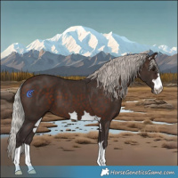 Horse Color:Silver Brown
