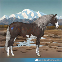 Horse Color:Silver Brown