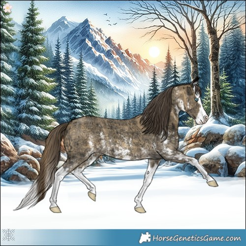 Horse Color:Amber Cream Champagne Ice Sabino Splash 