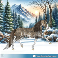 Horse Color:Amber Cream Champagne Ice Sabino Splash