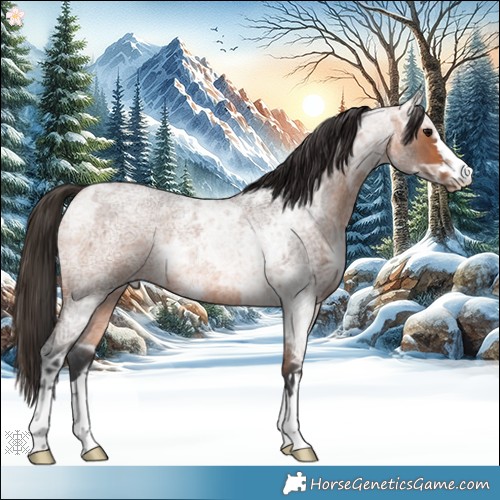 Horse Color:Bay Ice Roan Rabicano 