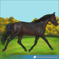 Horse Color:Brown 