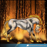 Horse Color:Bay Roan Dun 